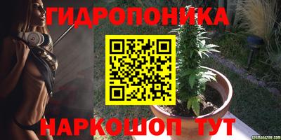 jwh Нальчик