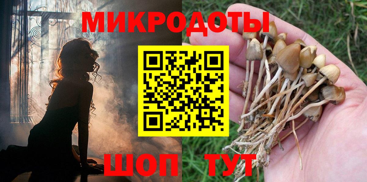 Галлюциногенные грибы ЛСД Урус-Мартан
